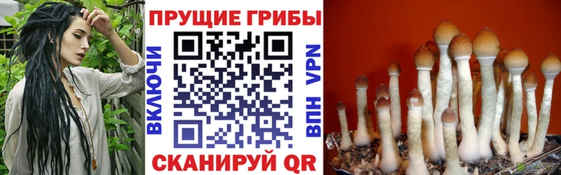 Галлюциногенные грибы прущие грибы  как найти   кракен tor  Котельниково 