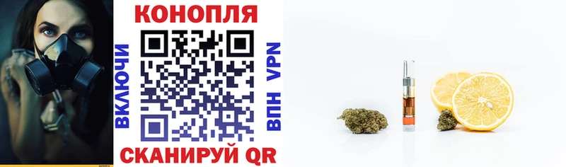 Каннабис сатива  что такое   Котельниково 